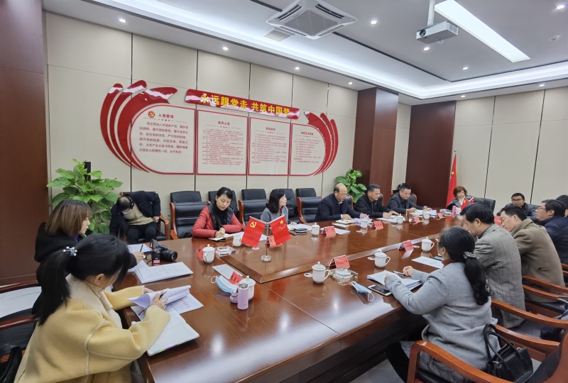 付磊政协视察.jpg