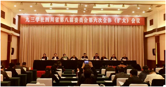 彭䶮参加九三省委会.jpg
