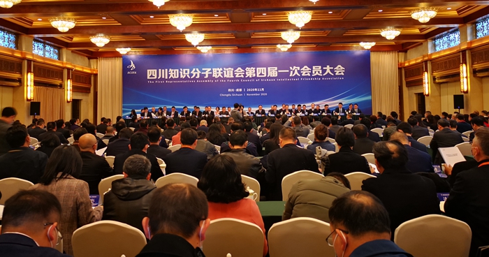 参加全省知联会换届大会.jpg