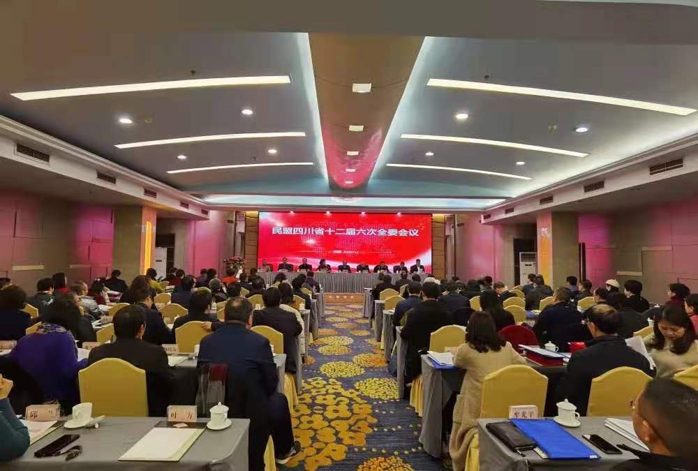 丁杰参加民盟四川省委十二届六次全委会议.jpg